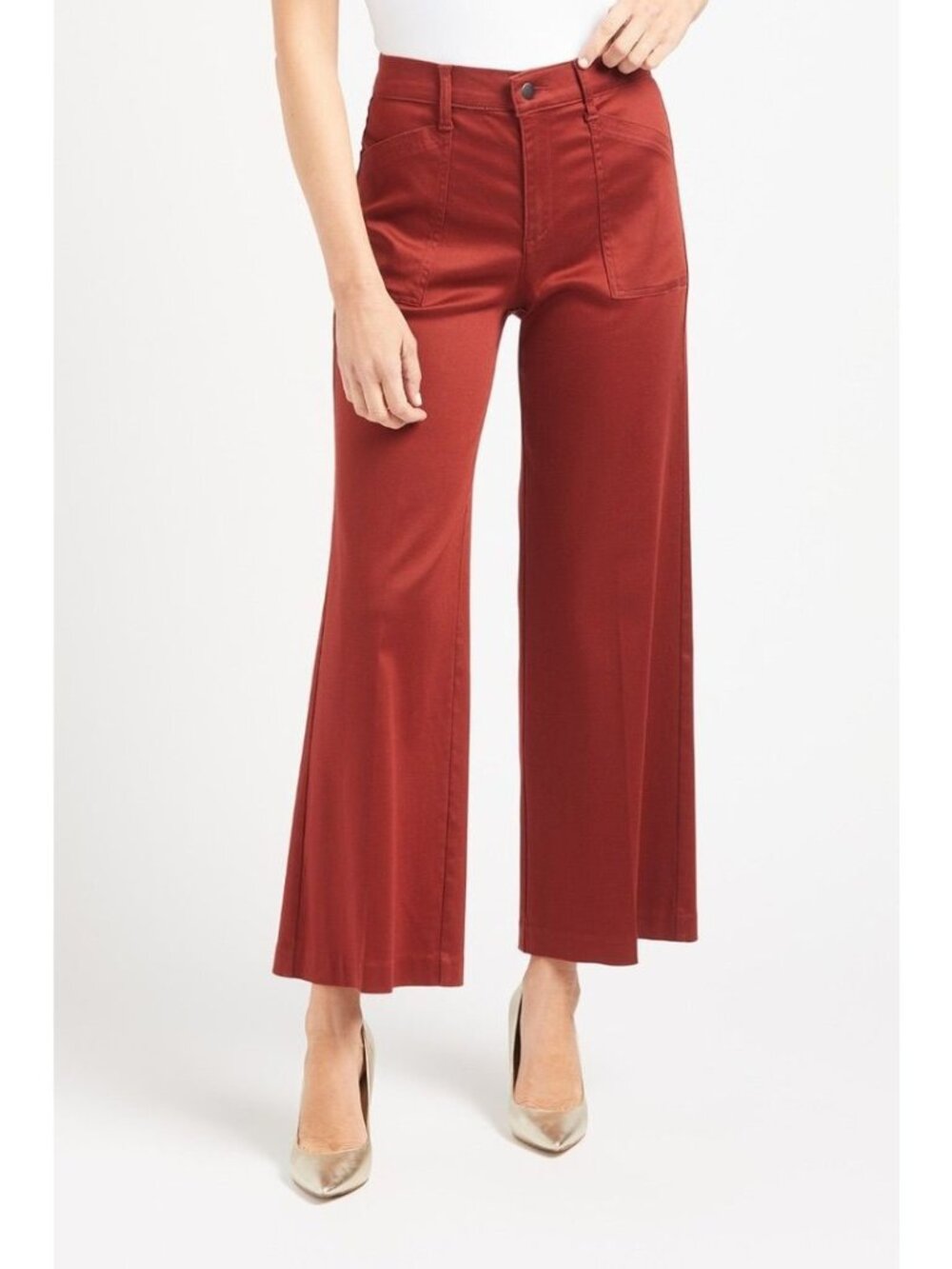 Evereve NWOT Beth Wide Leg Trouser in Picante Size 25